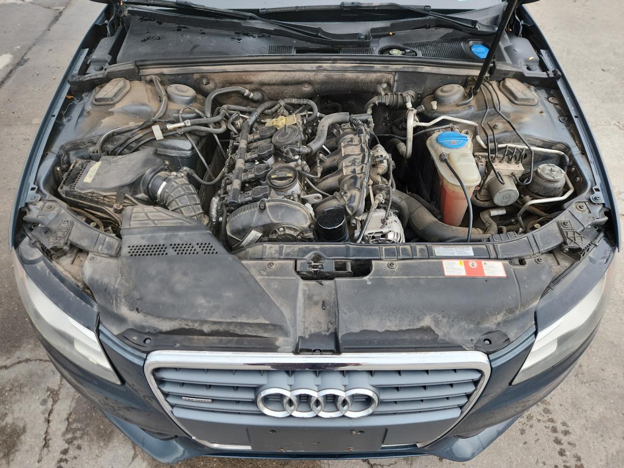 2010 Audi A4 Premium Plus VIN: WAUHFAFL7AN031644 Lot: 86080165