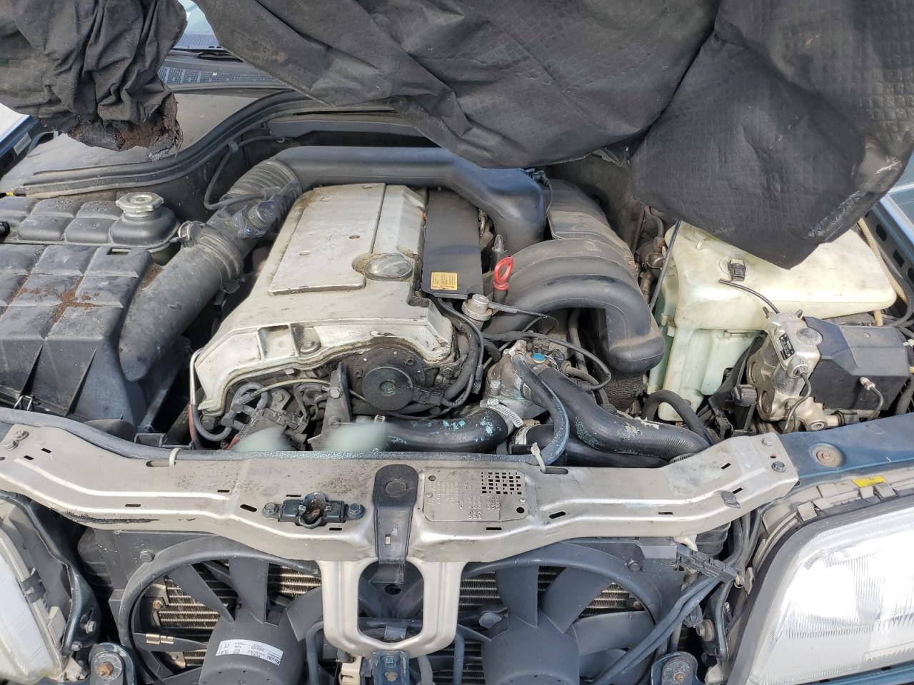 1994 Mercedes-Benz C 280 VIN: WDBHA28E5RF027599 Lot: 86163345