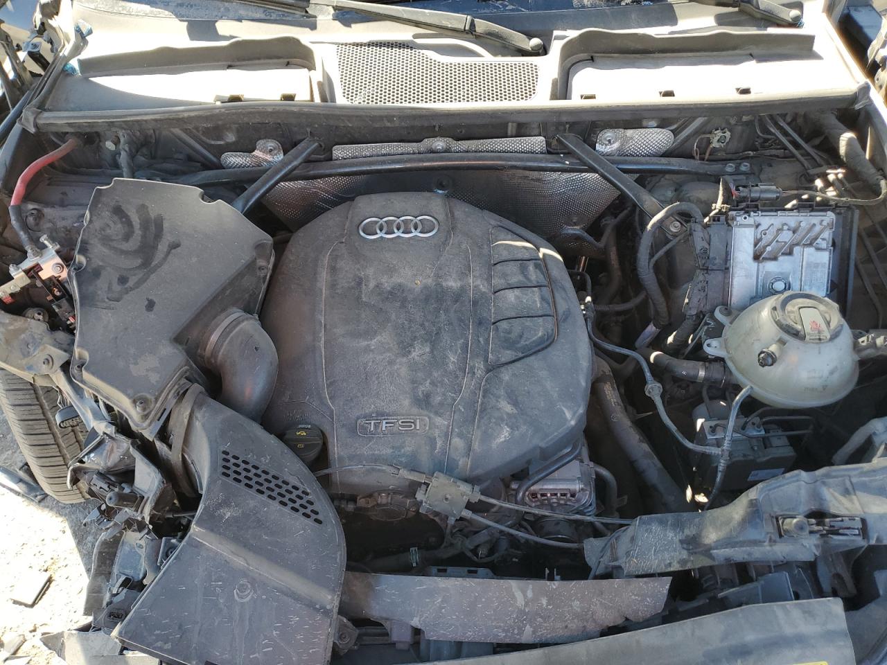 2019 Audi Q5 Premium Plus VIN: WA1BNAFYXK2033957 Lot: 85902235