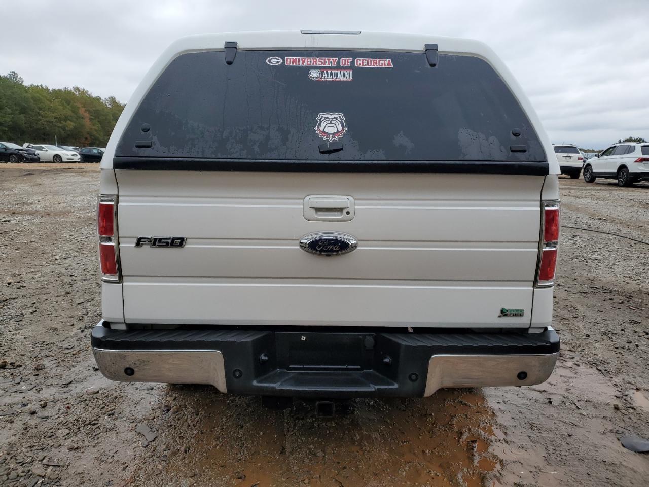 2010 Ford F150 Supercrew VIN: 1FTFW1EV4AFC21117 Lot: 90336735