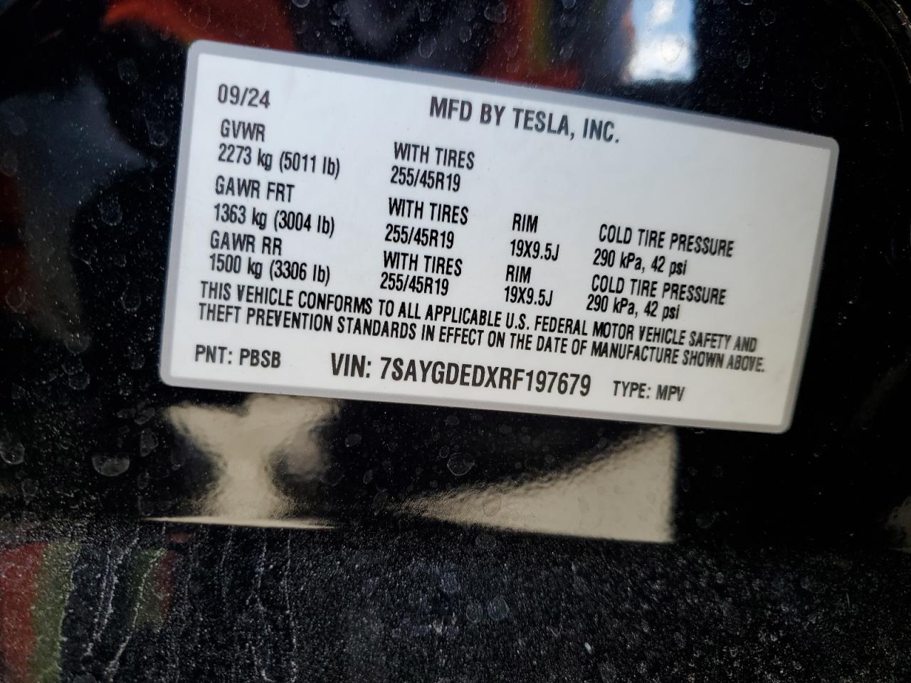 2024 Tesla Model Y VIN: 7SAYGDEDXRF197679 Lot: 85381295