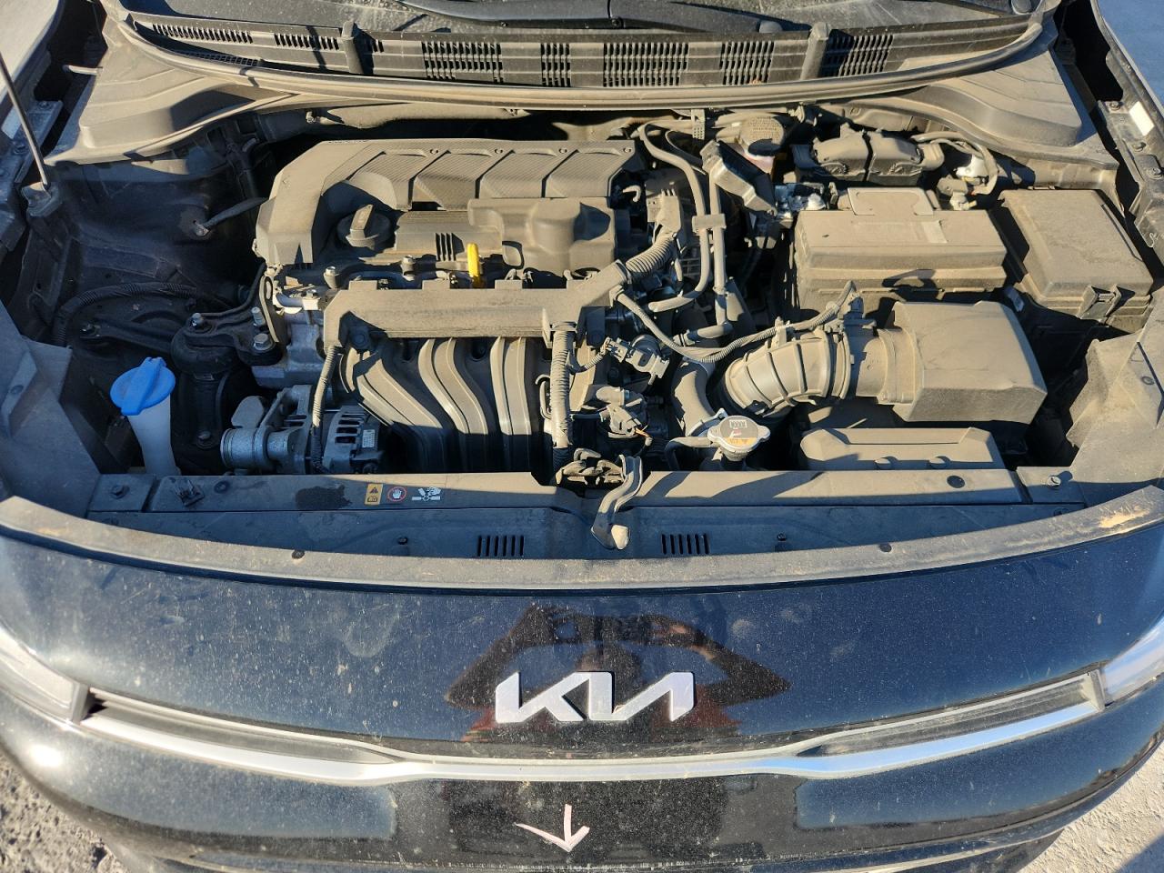 2023 Kia Rio Lx VIN: 3KPA24AD1PE553314 Lot: 89816565