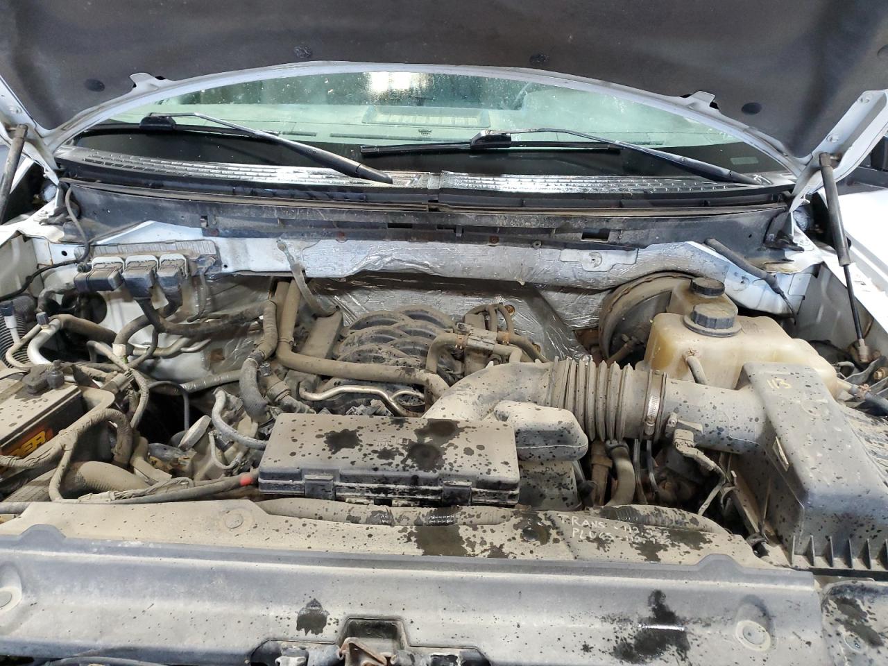 2013 Ford F150 VIN: 1FTNF1CF8DKD46107 Lot: 86779375