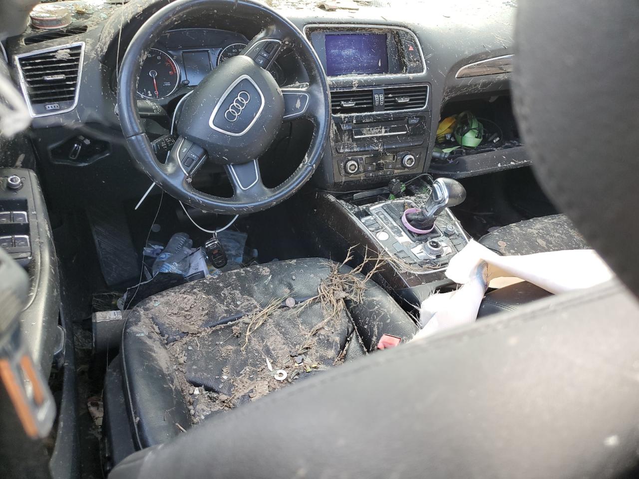 2014 Audi Q5 Premium Plus VIN: WA1LFAFP6EA030234 Lot: 81929535