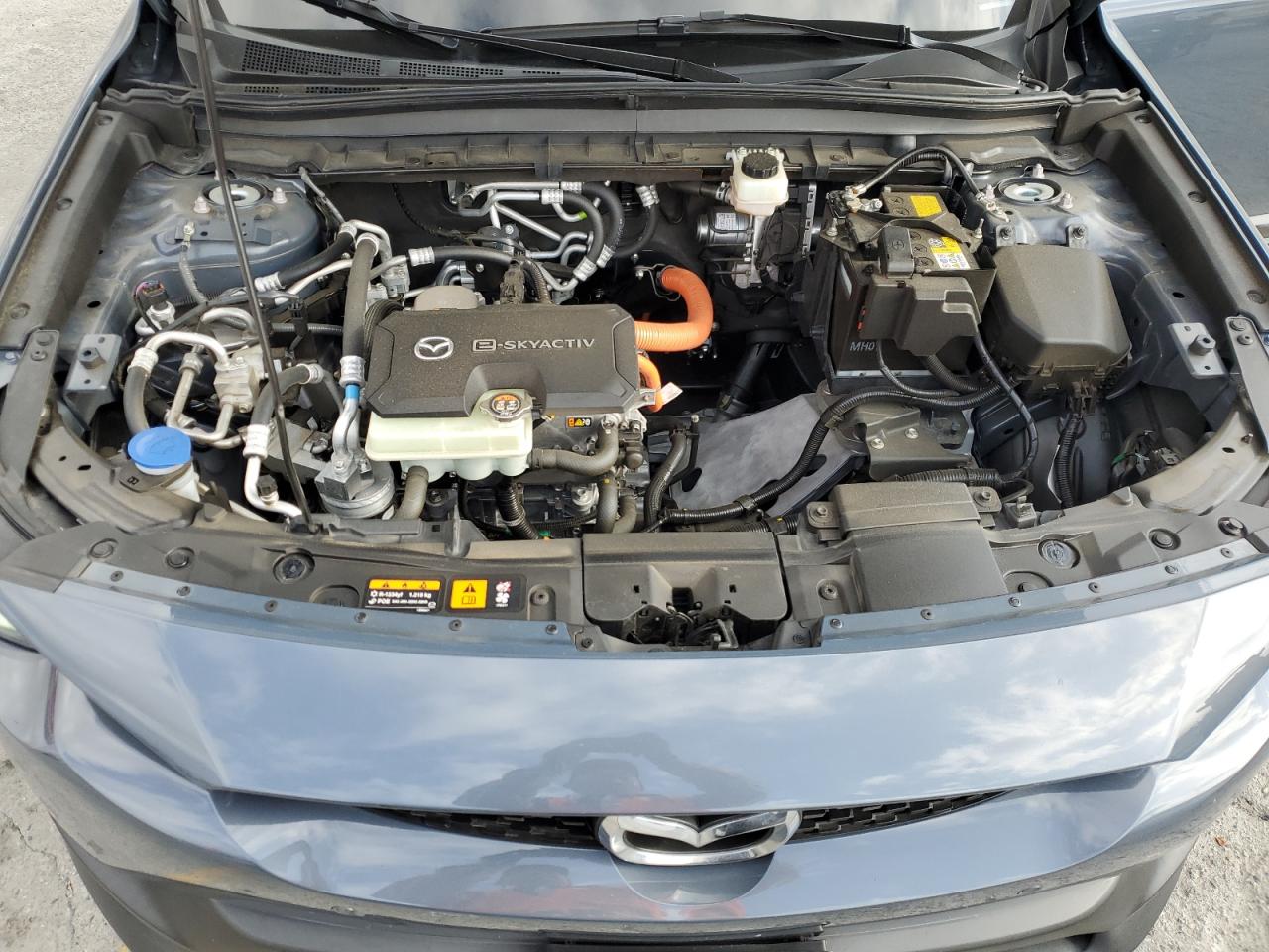 2022 Mazda Mx-30 Premium Plus VIN: JM1DRADB9N0100310 Lot: 82496675