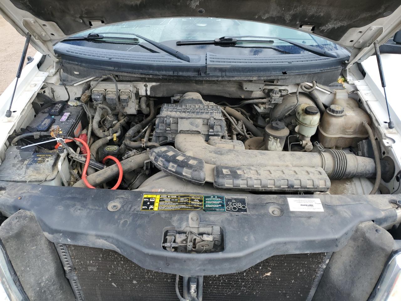 2004 Ford F150 VIN: 1FTPF12554NC55179 Lot: 85750845