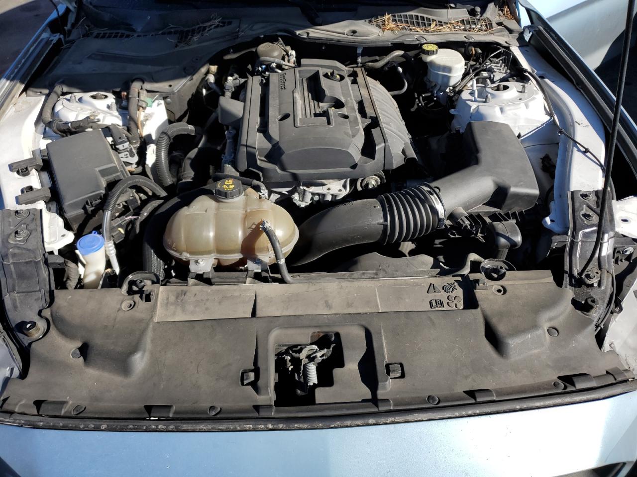 2020 Ford Mustang VIN: 1FA6P8TH1L5158799 Lot: 84801275