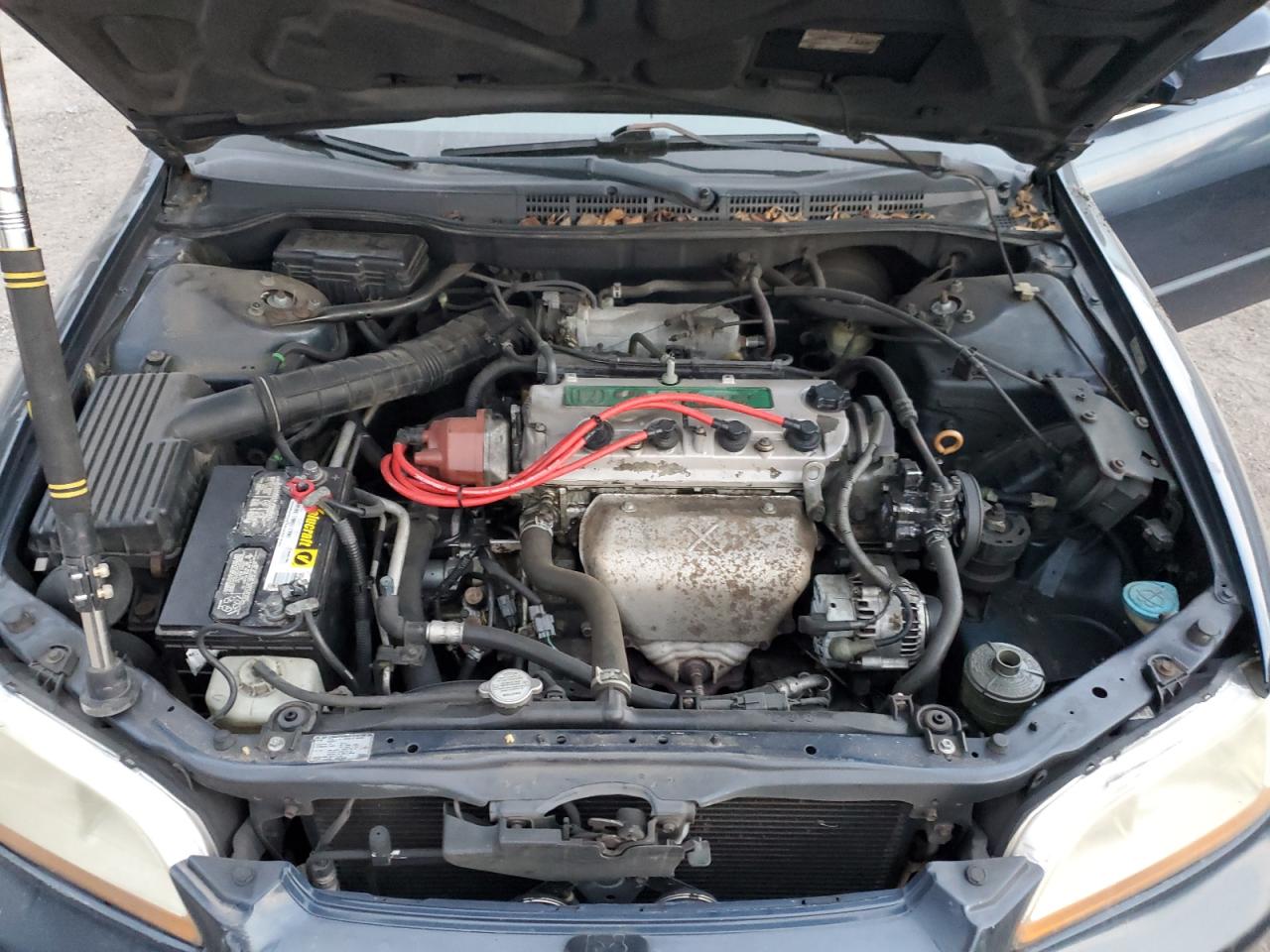 2000 Honda Accord Lx VIN: 1HGCG6652YA137124 Lot: 84577685