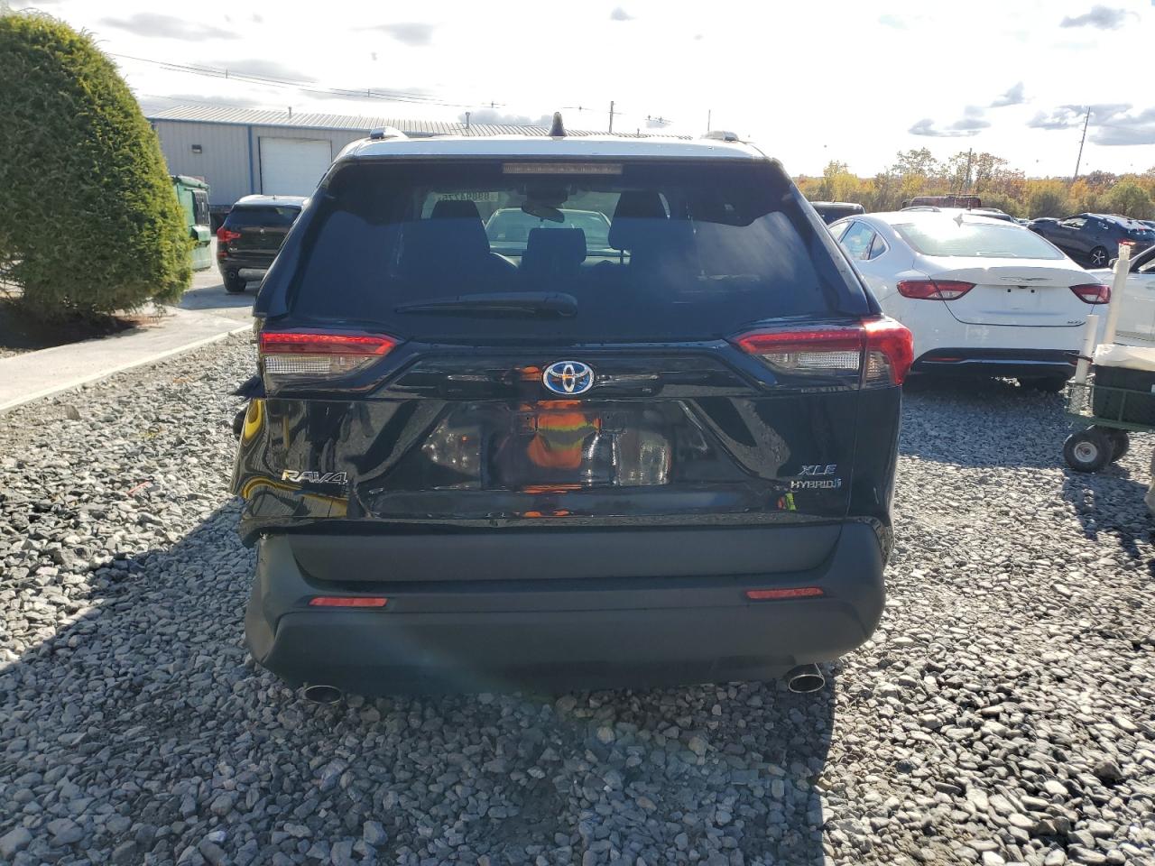 2021 Toyota Rav4 Xle VIN: 4T3RWRFV2MU020782 Lot: 89894775