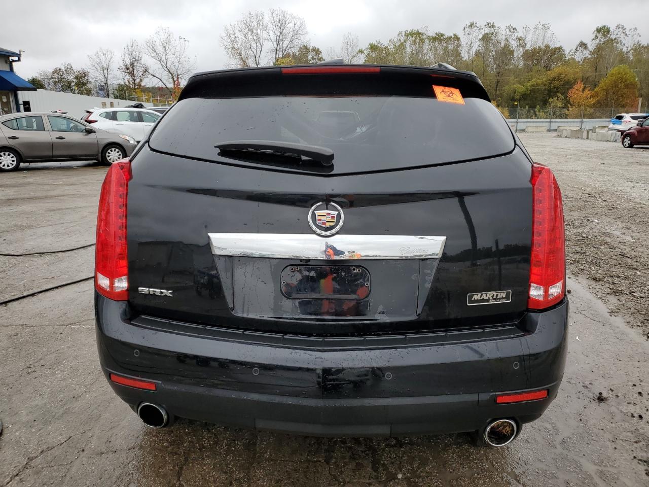 2010 Cadillac Srx Luxury Collection VIN: 3GYFNAEY8AS546615 Lot: 89865565
