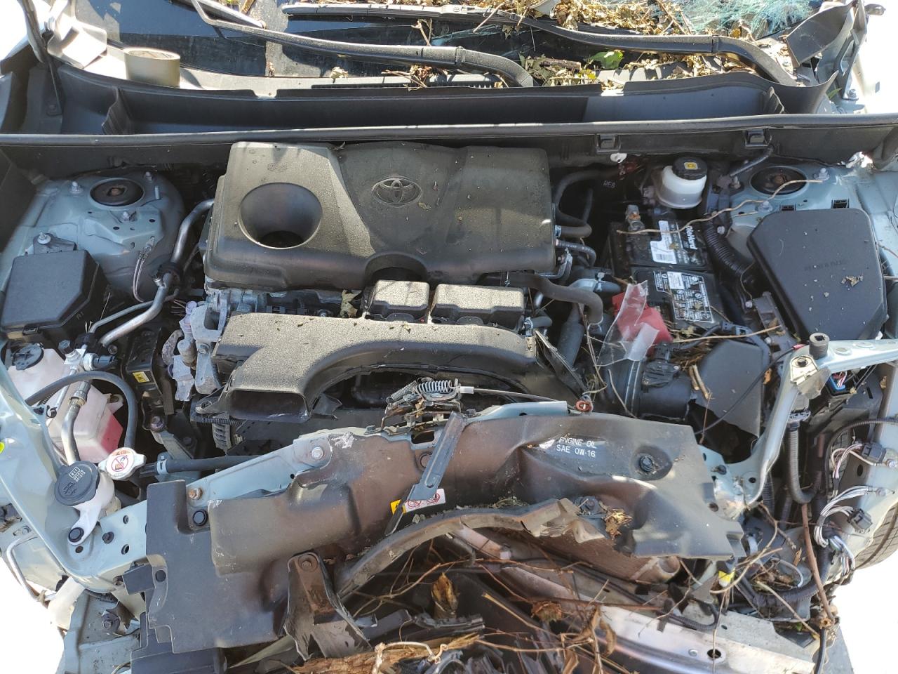 2019 Toyota Rav4 Xle Premium VIN: JTMC1RFV2KD503249 Lot: 86064035