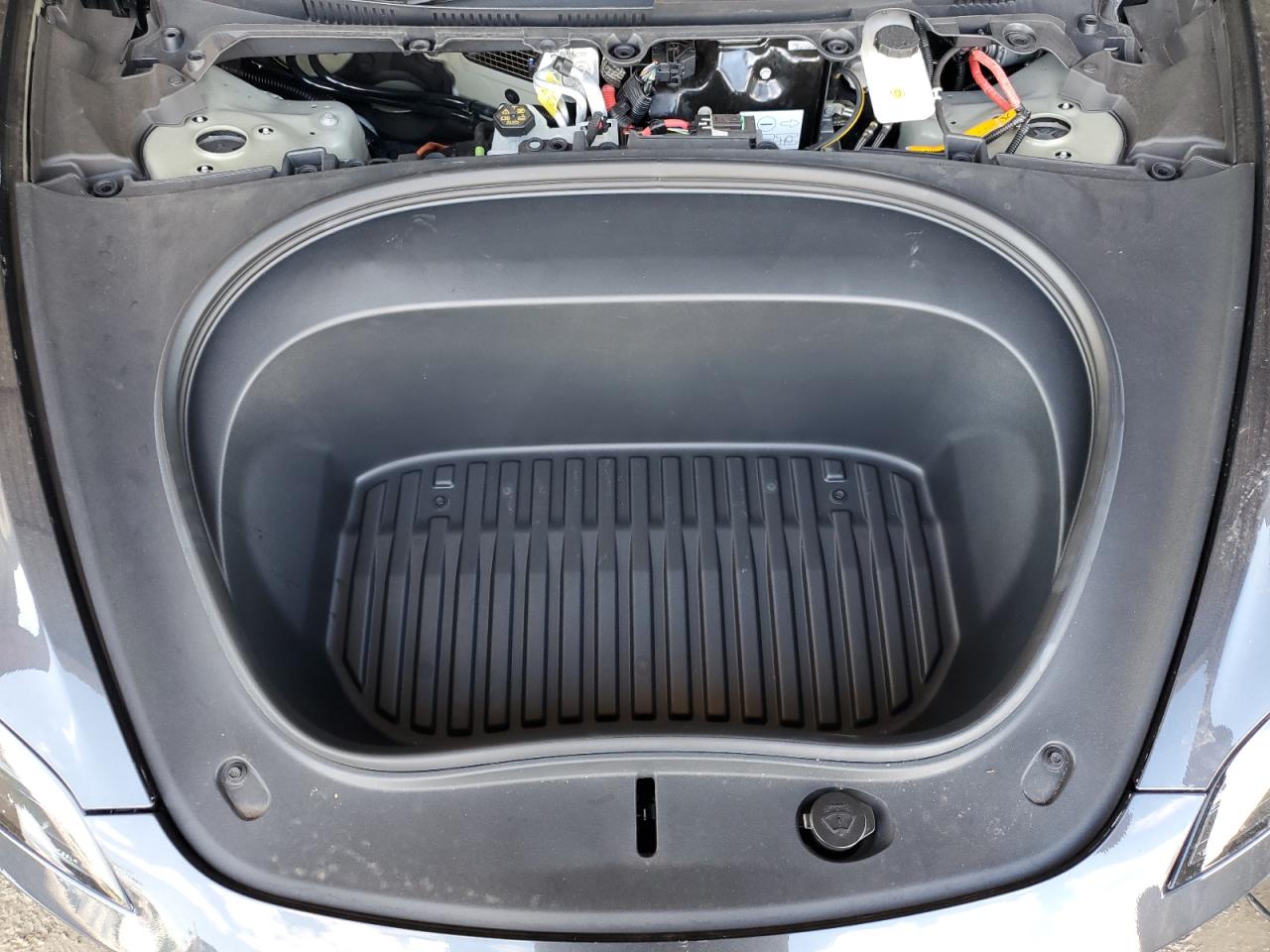 2025 Tesla Model 3 VIN: 5YJ3E1EAXSF887648 Lot: 87374175