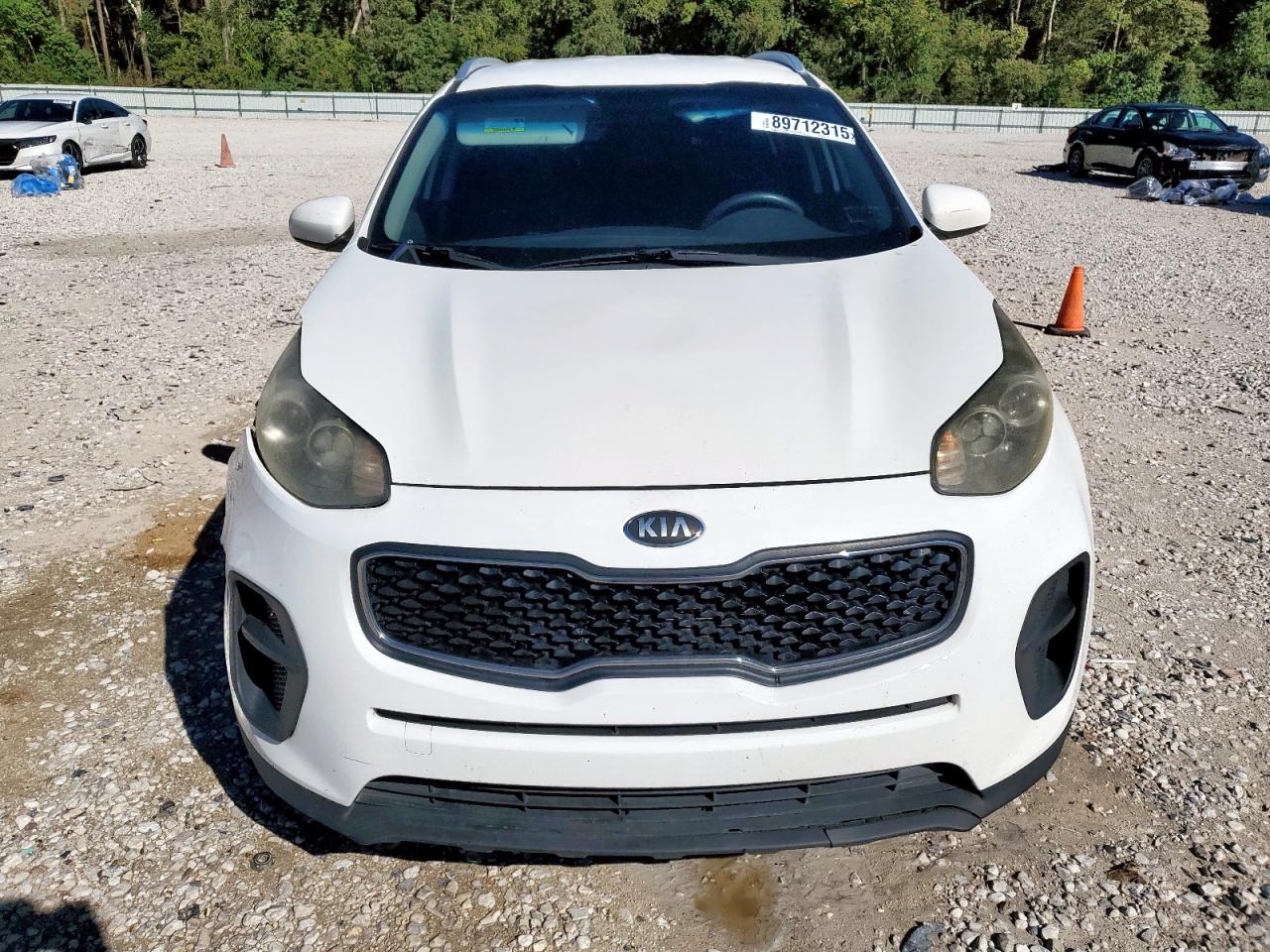 2017 Kia Sportage Lx VIN: KNDPM3AC9H7080222 Lot: 89712315