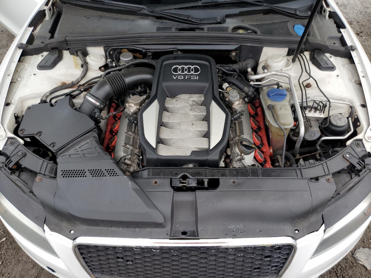 2009 Audi S5 Quattro VIN: WAURV78T49A017954 Lot: 84803885