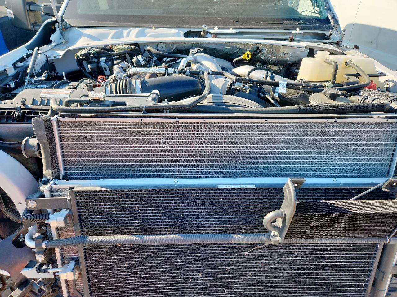 2024 Ford F350 Super Duty VIN: 1FT8W3DT5REC38255 Lot: 84423935