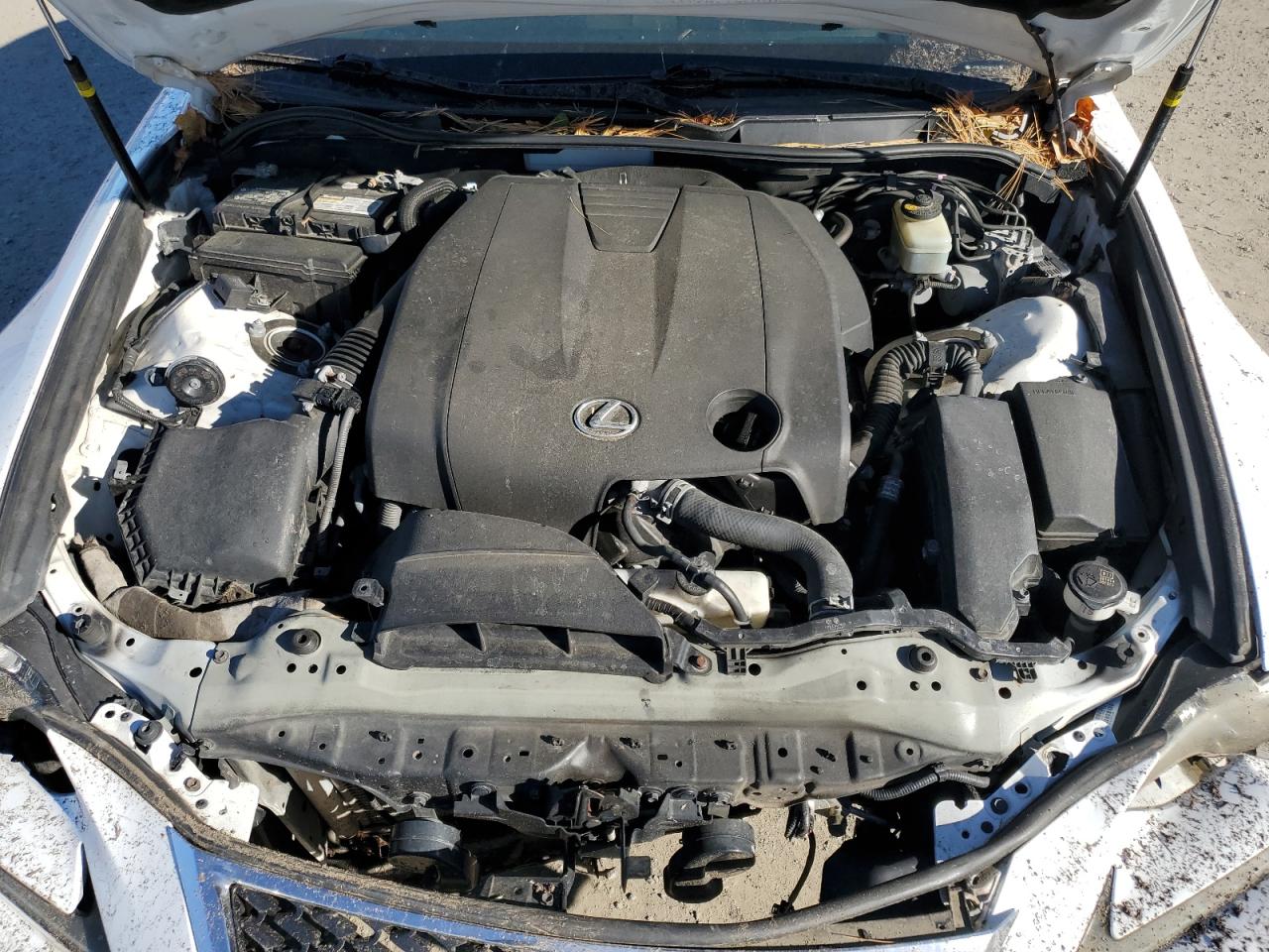 2015 Lexus Is 250 VIN: JTHBF1D2XF5070737 Lot: 87003595