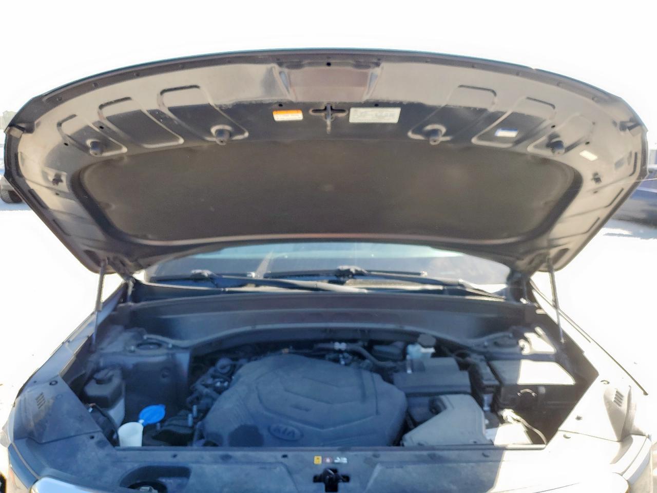 2020 Kia Telluride Ex VIN: 5XYP3DHC3LG053320 Lot: 86284815