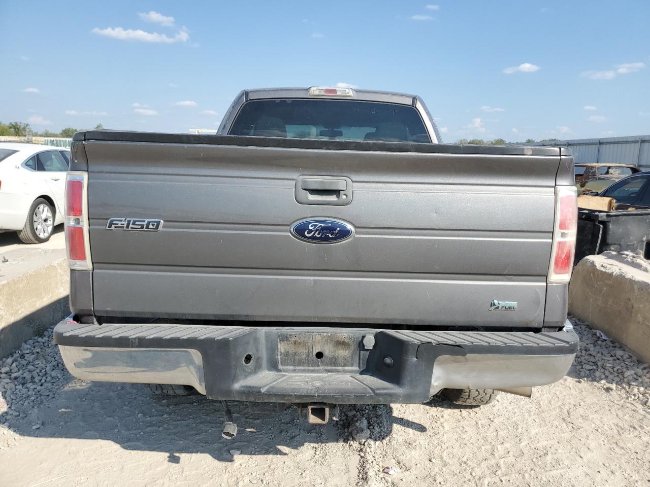 2010 Ford F150 Super Cab VIN: 1FTFX1EV7AKA74232 Lot: 84903865