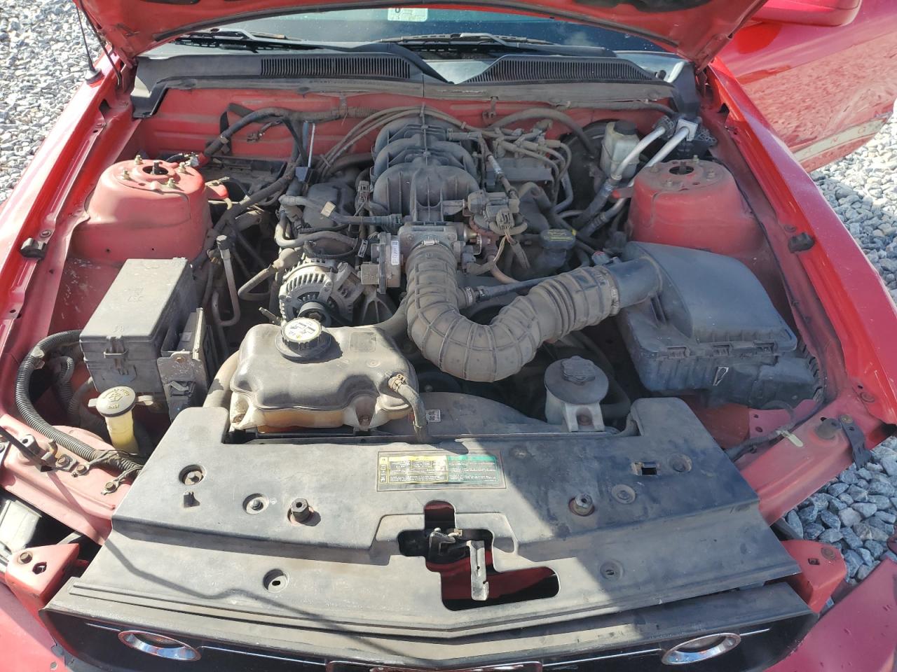 2009 Ford Mustang VIN: 1ZVHT84N195143129 Lot: 85766555