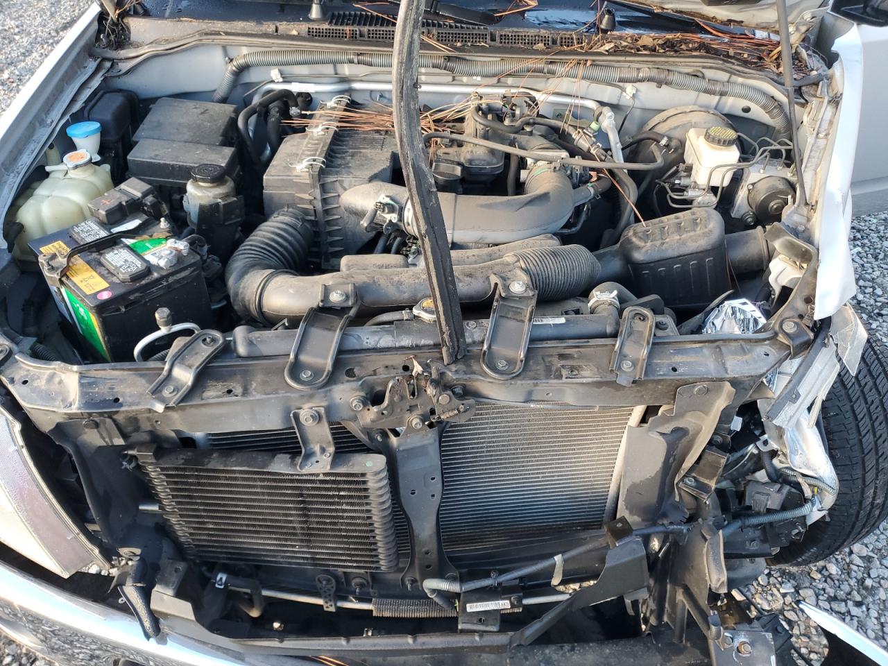 III (D40) III (D40)
