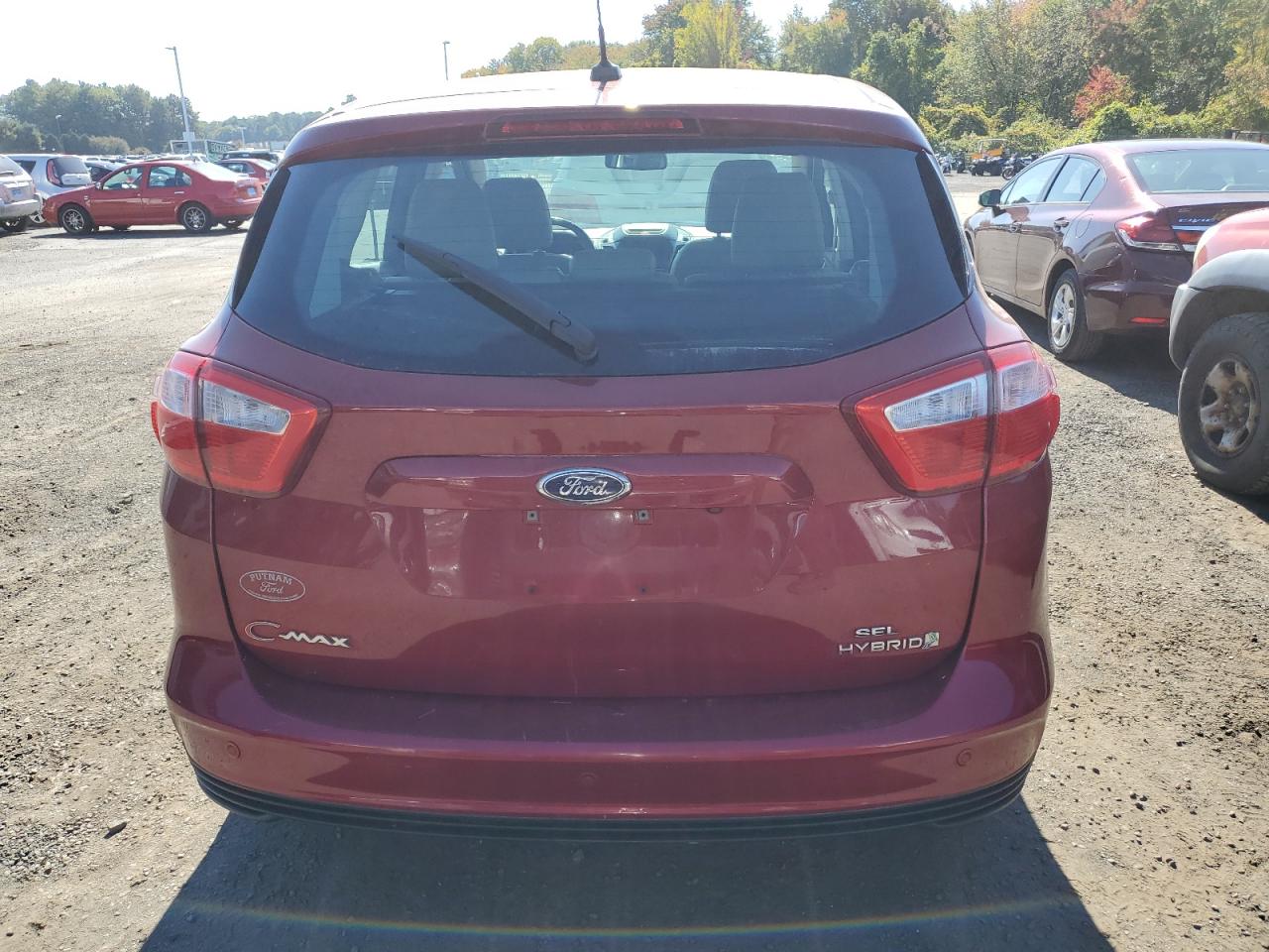 2016 Ford C-Max Sel VIN: 1FADP5BU3GL103468 Lot: 85671275