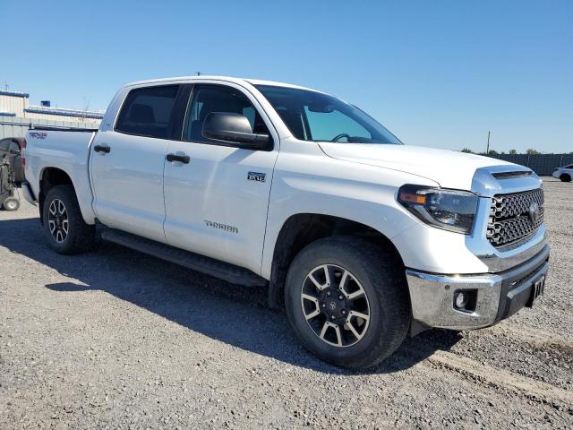  TOYOTA TUNDRA 2020 Biały