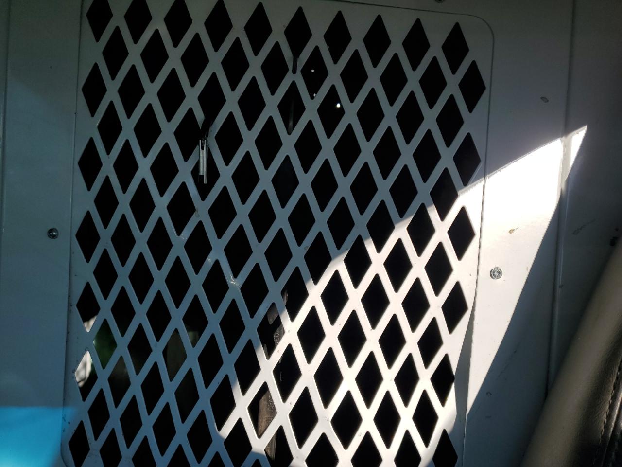 2021 Chevrolet Express G2500 VIN: 1GCWGAFP4M1313097 Lot: 90469575