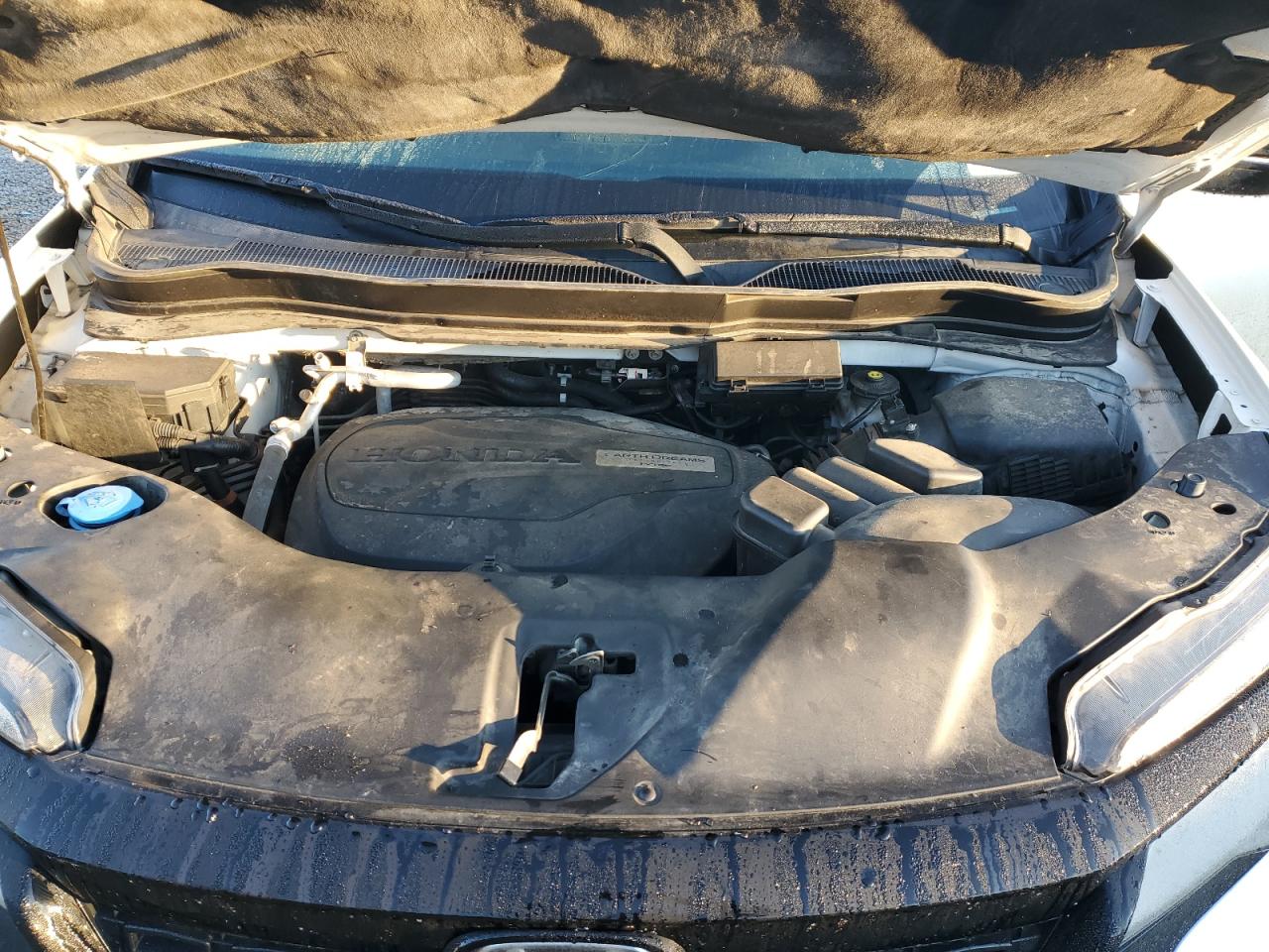 2019 Honda Passport Elite VIN: 5FNYF8H07KB027513 Lot: 90889505