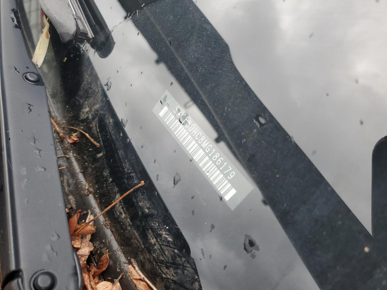 2021 Kia Telluride Sx VIN: 5XYP5DHC8MG186179 Lot: 90513955