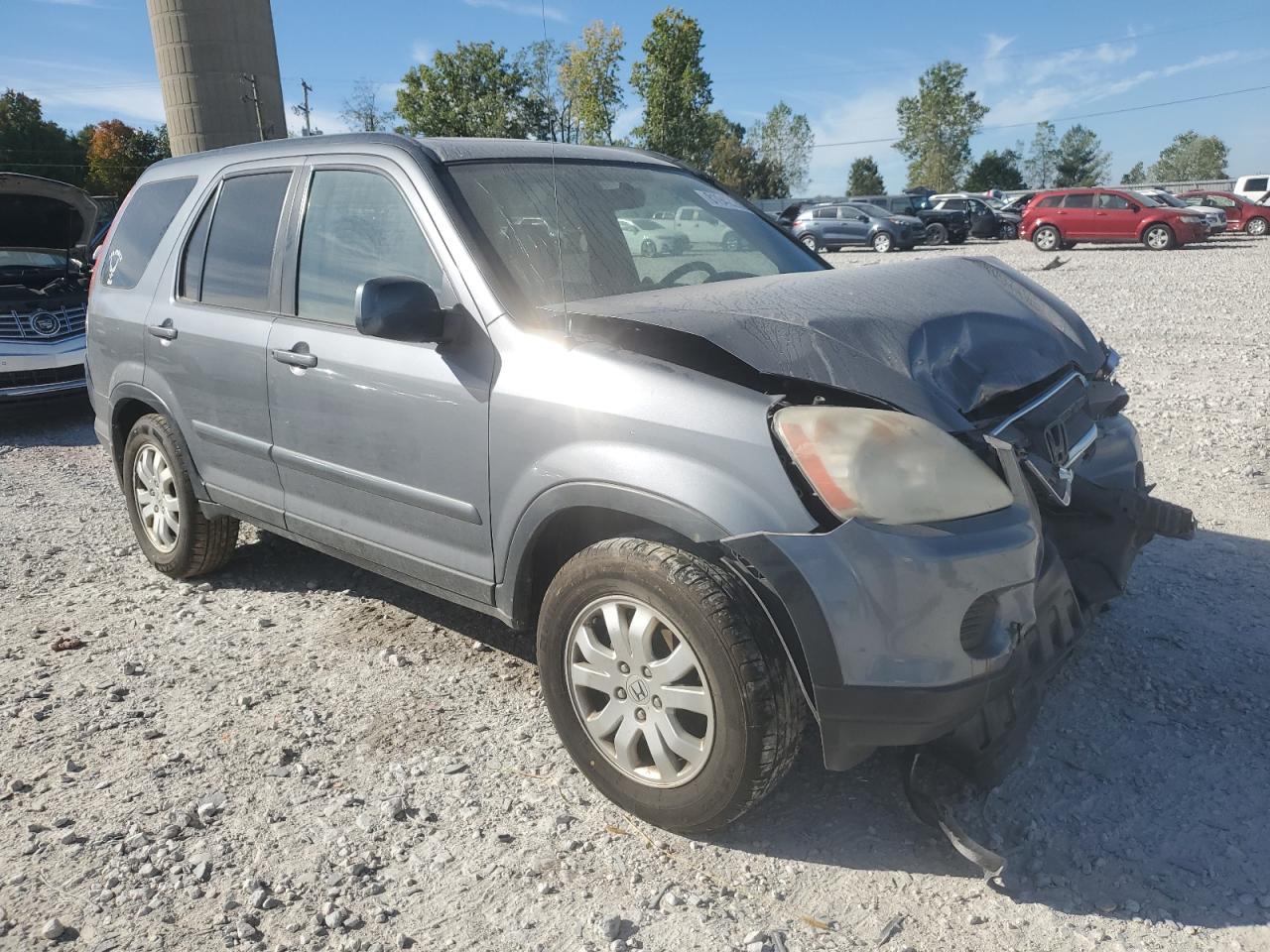 2006 Honda Cr-V Se VIN: SHSRD78986U443376 Lot: 81942285