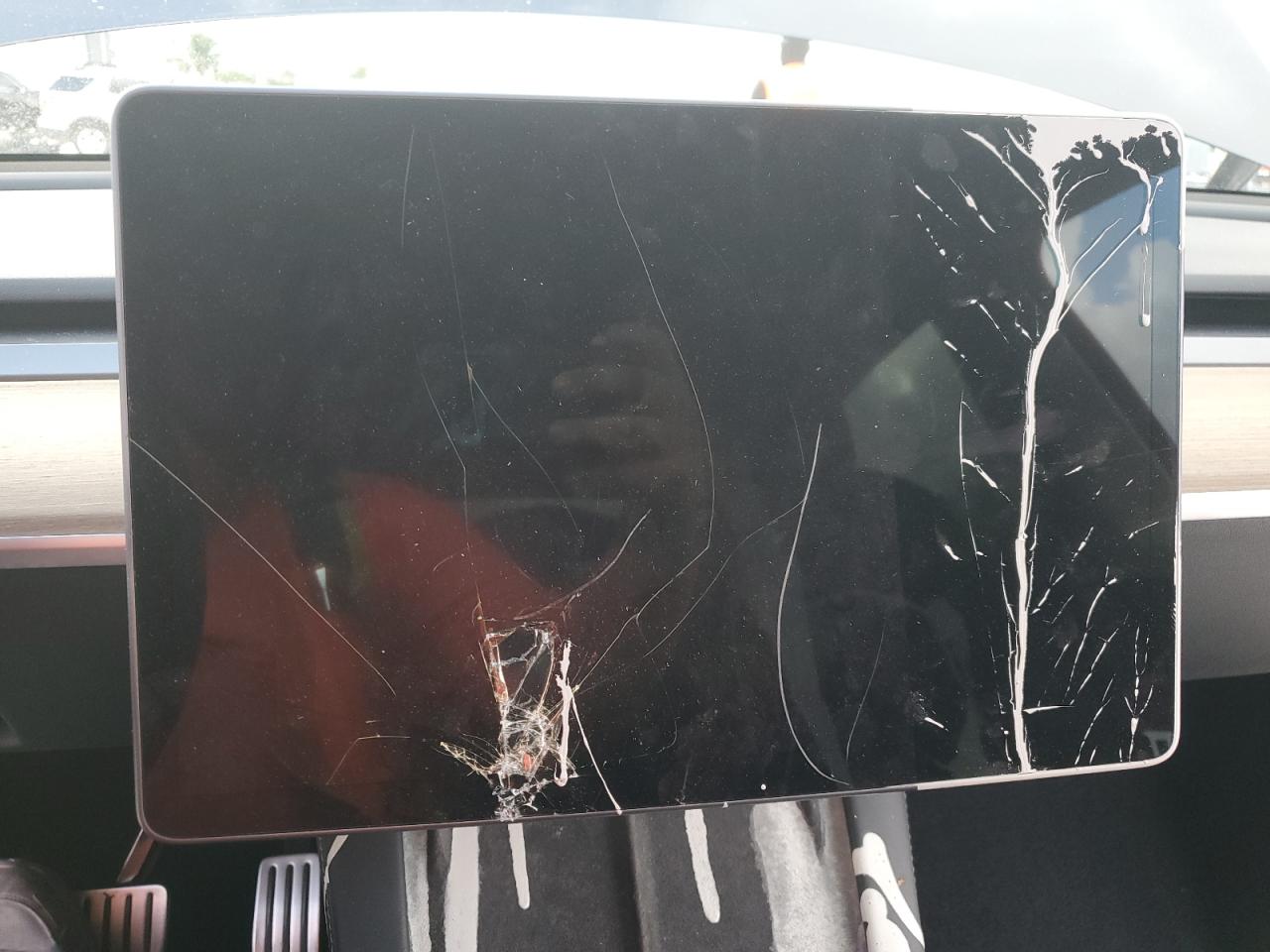 2023 Tesla Model Y VIN: 7SAYGDEFXPF584635 Lot: 87273585