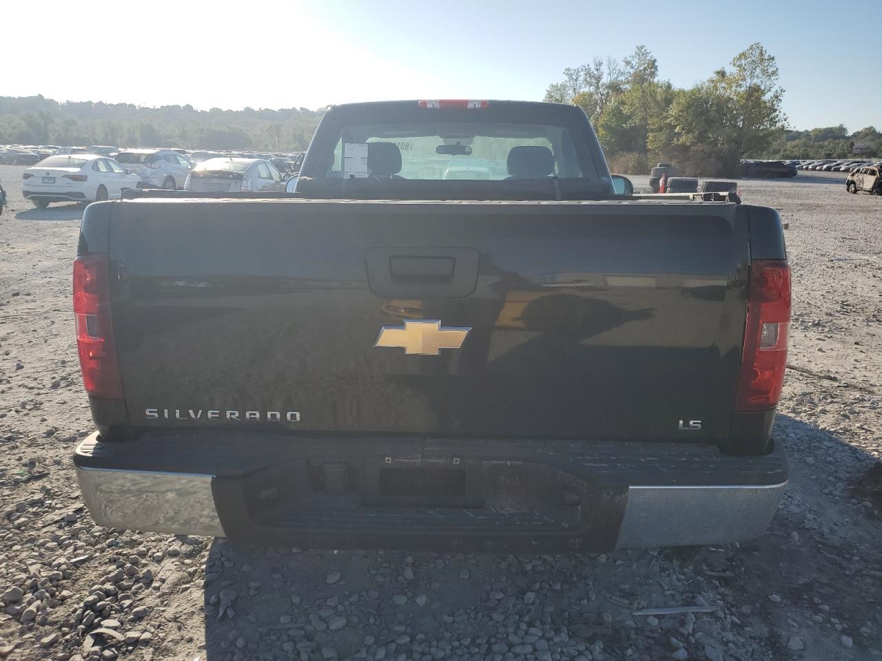 2011 Chevrolet Silverado C1500 VIN: 1GCNCPEX3BZ344447 Lot: 85111645