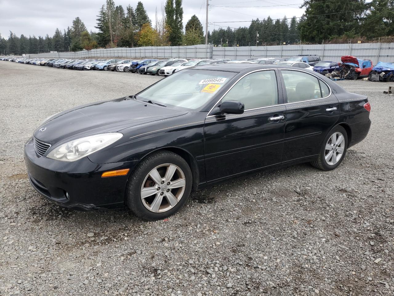 LEXUS ES330 2005. Lot# 84999545. VIN JTHBA30G455120719. Photo 1