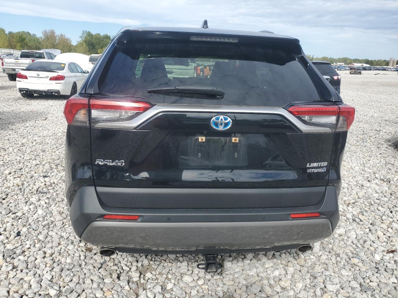 2019 Toyota Rav4 Limited VIN: JTMDWRFV3KD013179 Lot: 82256885