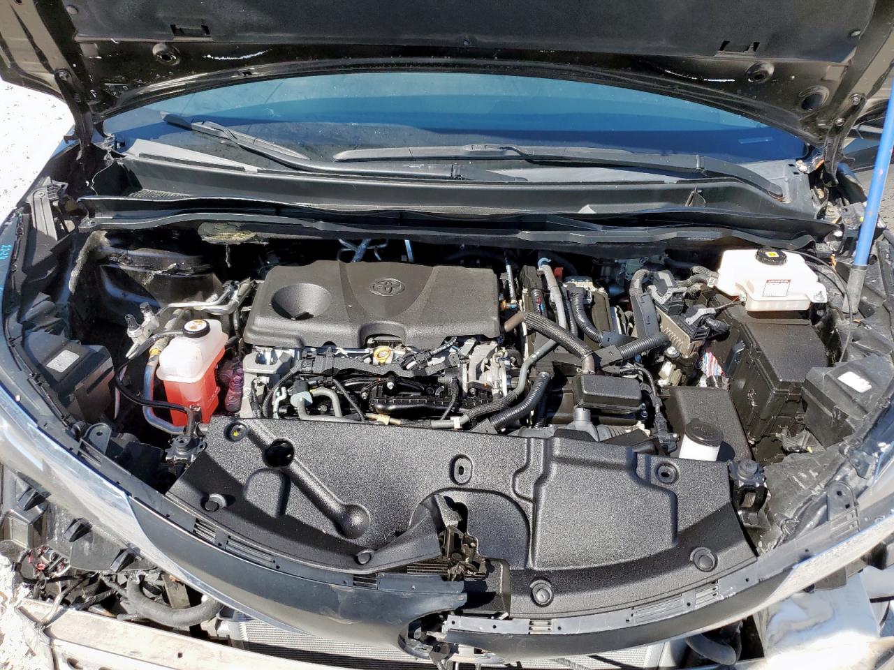 2021 Toyota Sienna Xle VIN: 5TDYRKEC5MS055618 Lot: 86638555