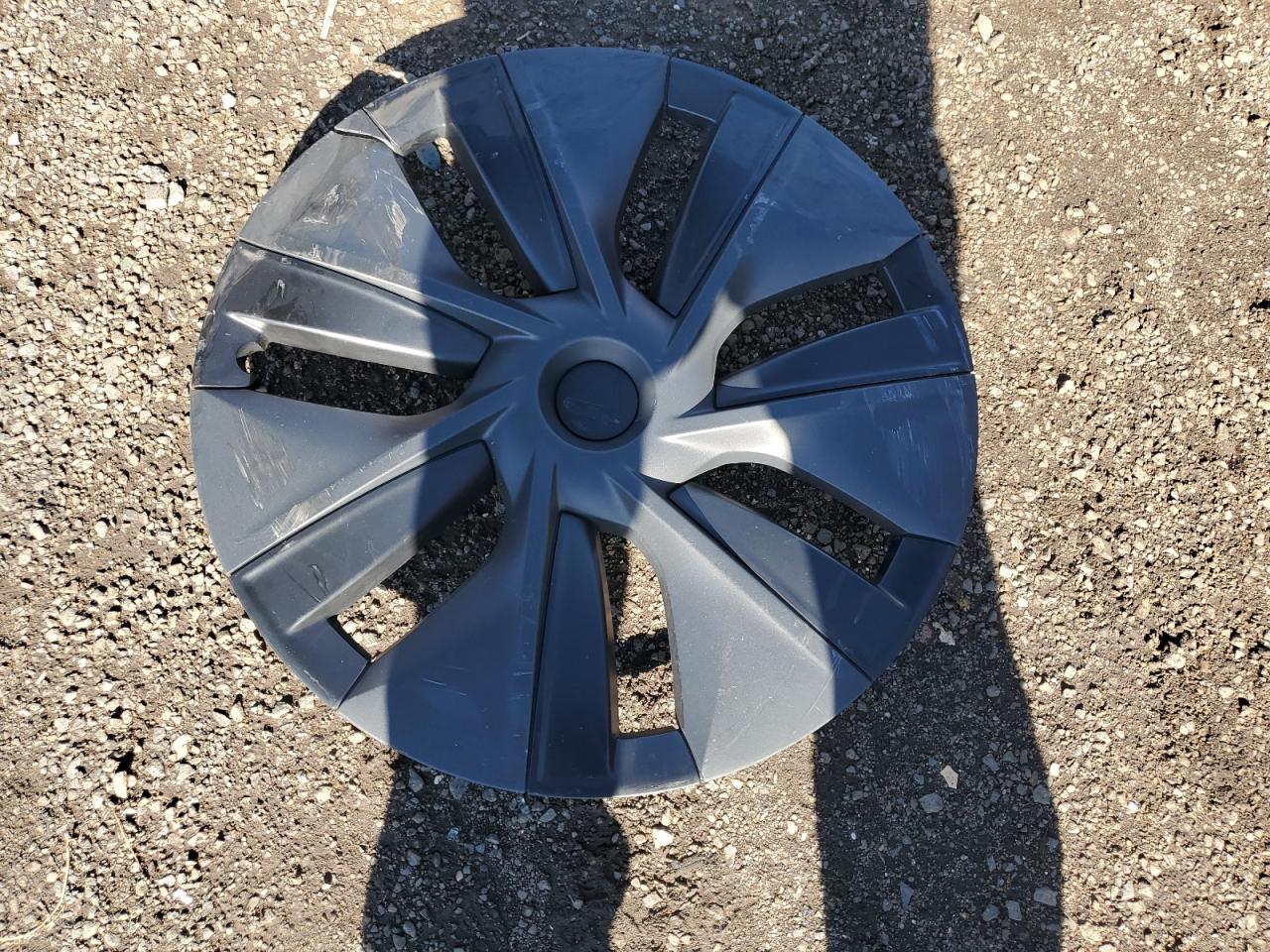 2024 Tesla Model Y VIN: 7SAYGDEE5RA312436 Lot: 89516385