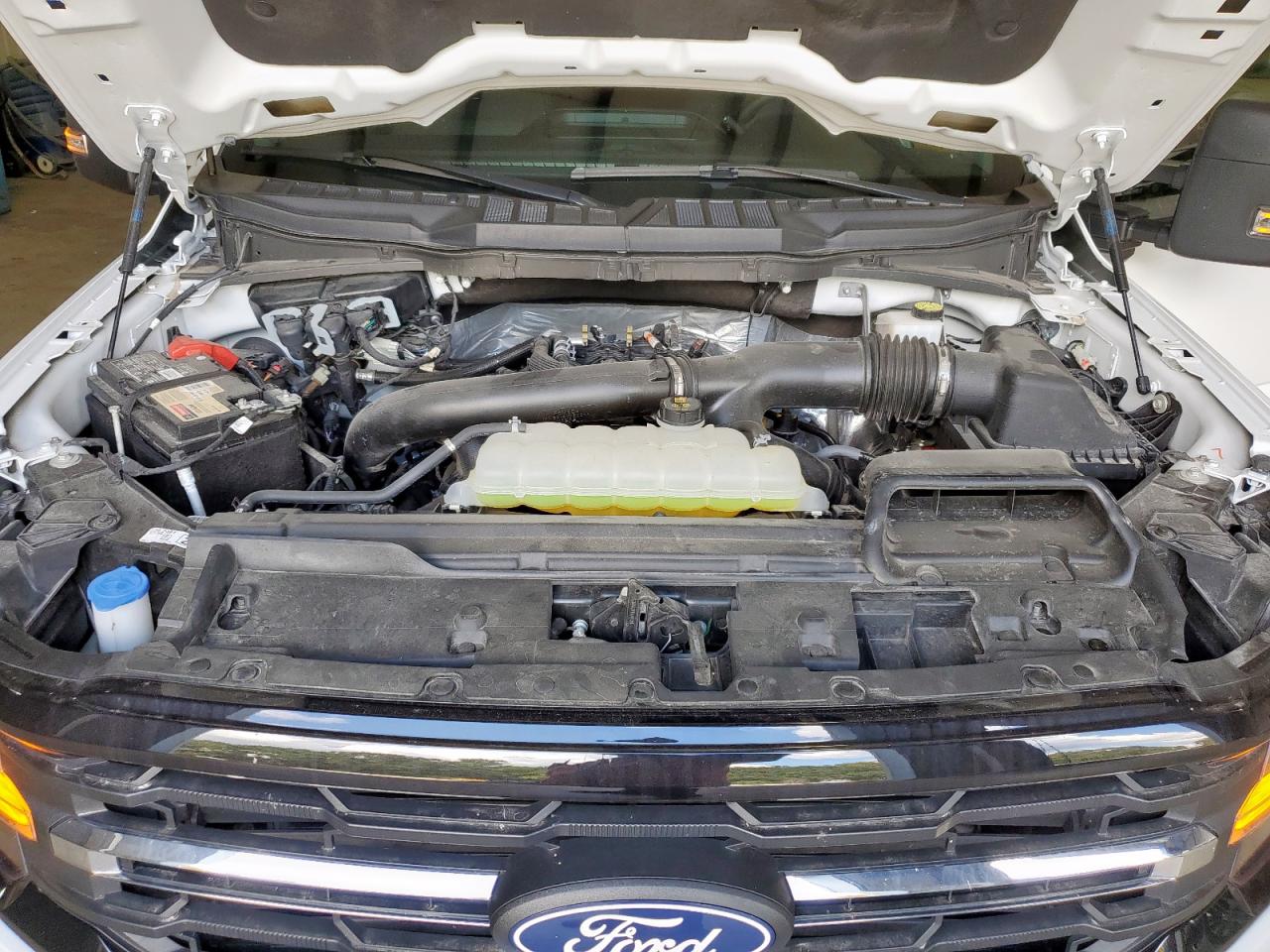 2024 Ford F150 Xlt VIN: 1FTFW3L87RKF76407 Lot: 85554415