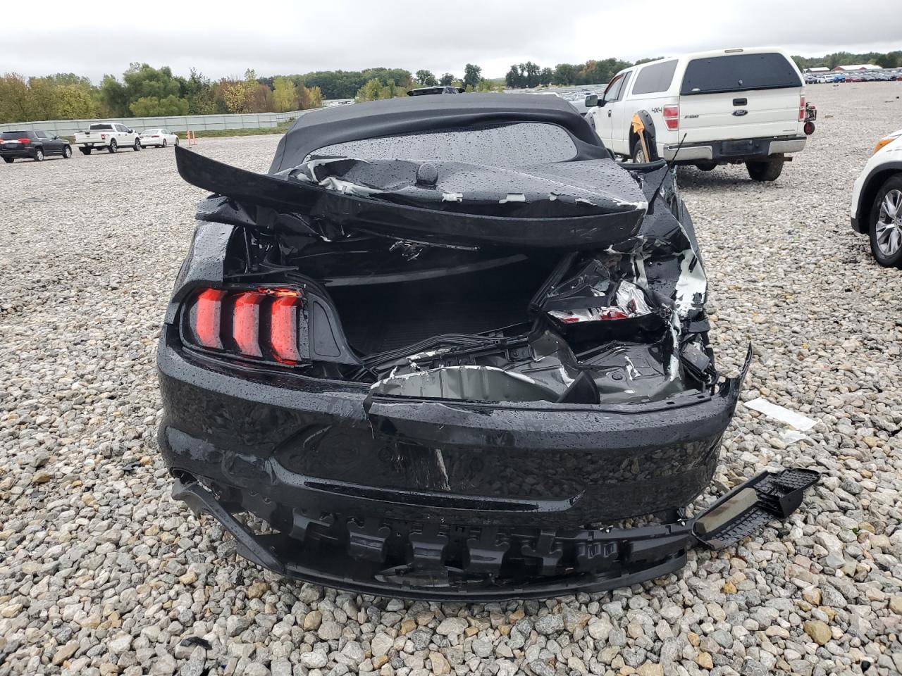 2019 Ford Mustang VIN: 1FATP8UH4K5178884 Lot: 82293825