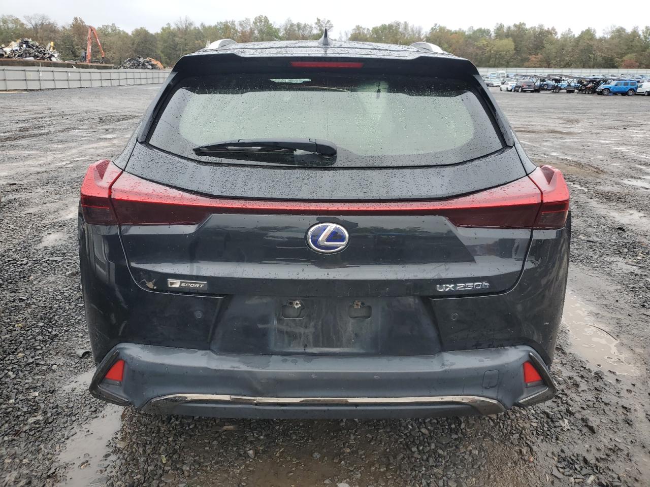 2021 Lexus Ux 250H VIN: JTHR9JBH6M2050299 Lot: 84412875