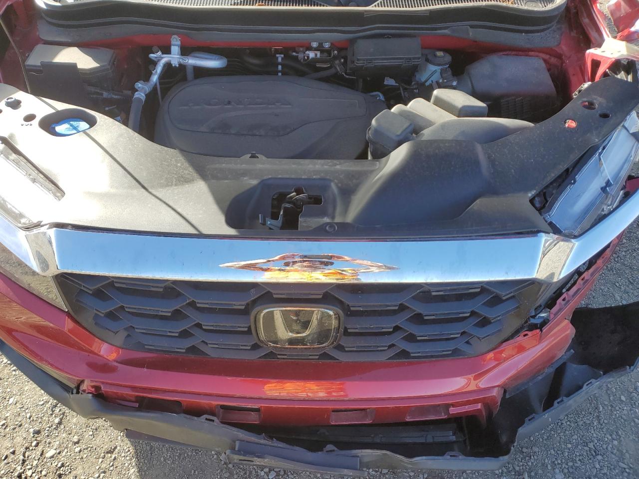 2025 Honda Passport Exl VIN: 5FNYF8H56SB001030 Lot: 81982255