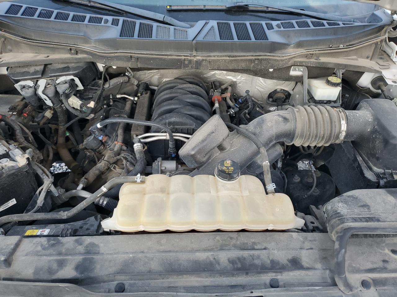 2021 Ford F150 Supercrew VIN: 1FTFW1E54MFA45450 Lot: 87219305