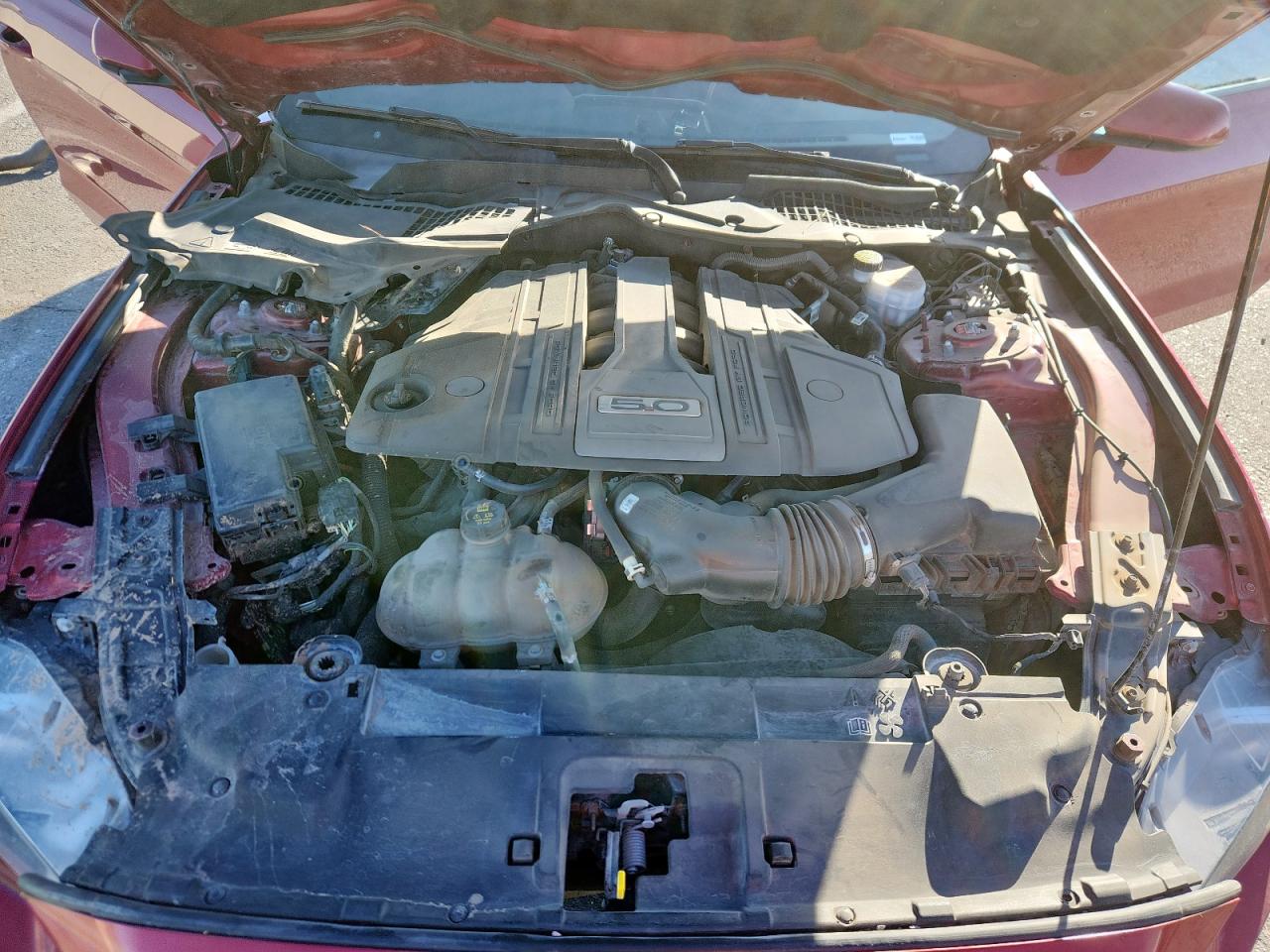 2019 Ford Mustang Gt VIN: 1FA6P8CF0K5197588 Lot: 90719455