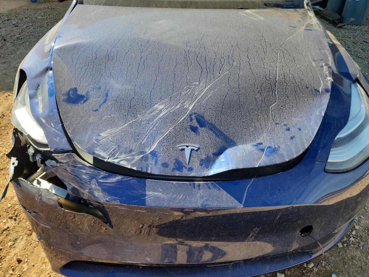 2023 Tesla Model Y VIN: 7SAYGDEE1PA158806 Lot: 87209225