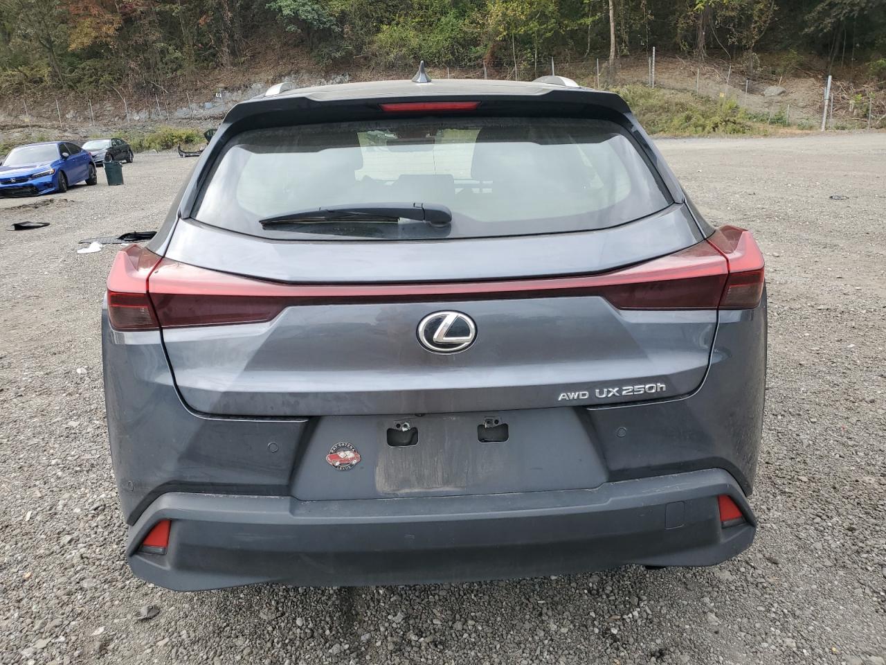 2023 Lexus Ux 250H Premium VIN: JTHP9JBH0P2068339 Lot: 81981305