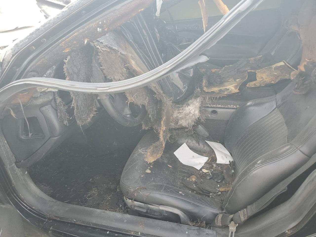 2003 Chevrolet Corvette Z06 VIN: 1G1YY12SX35123434 Lot: 85935065