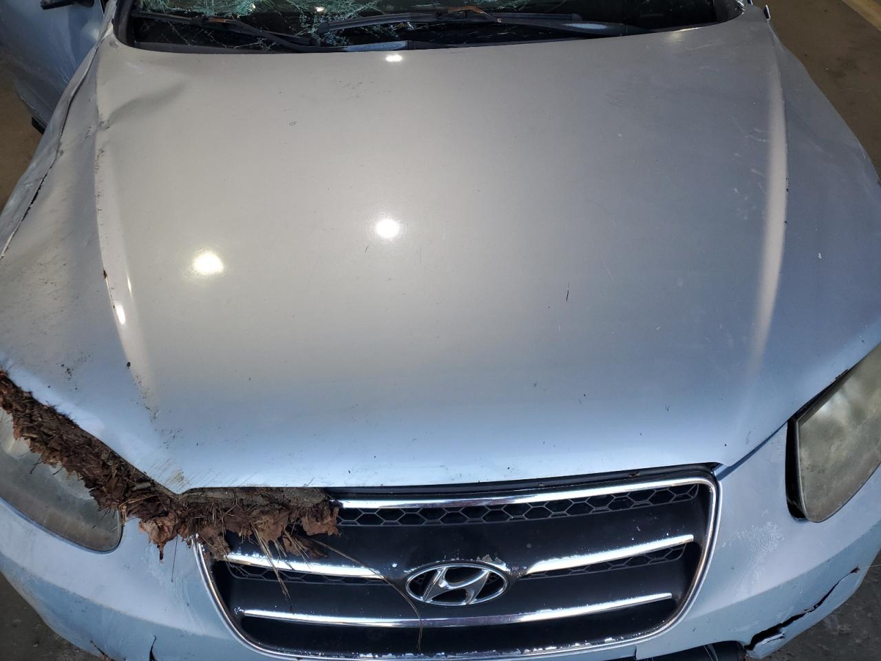 2007 Hyundai Santa Fe Se VIN: 5NMSH73E67H110160 Lot: 84784385