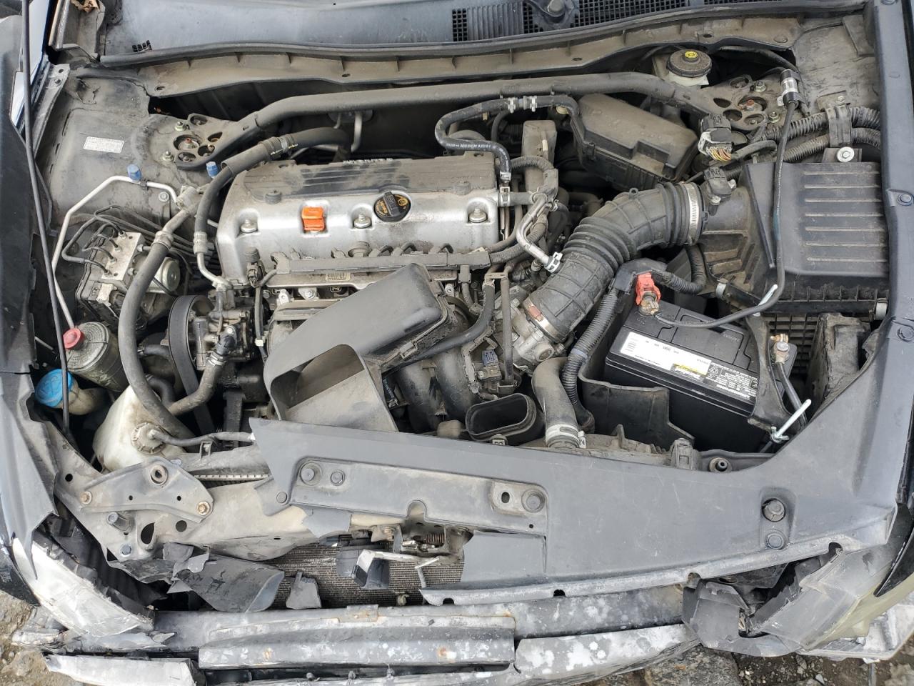 2011 Honda Accord Exl VIN: 1HGCS1B88BA008488 Lot: 81959135