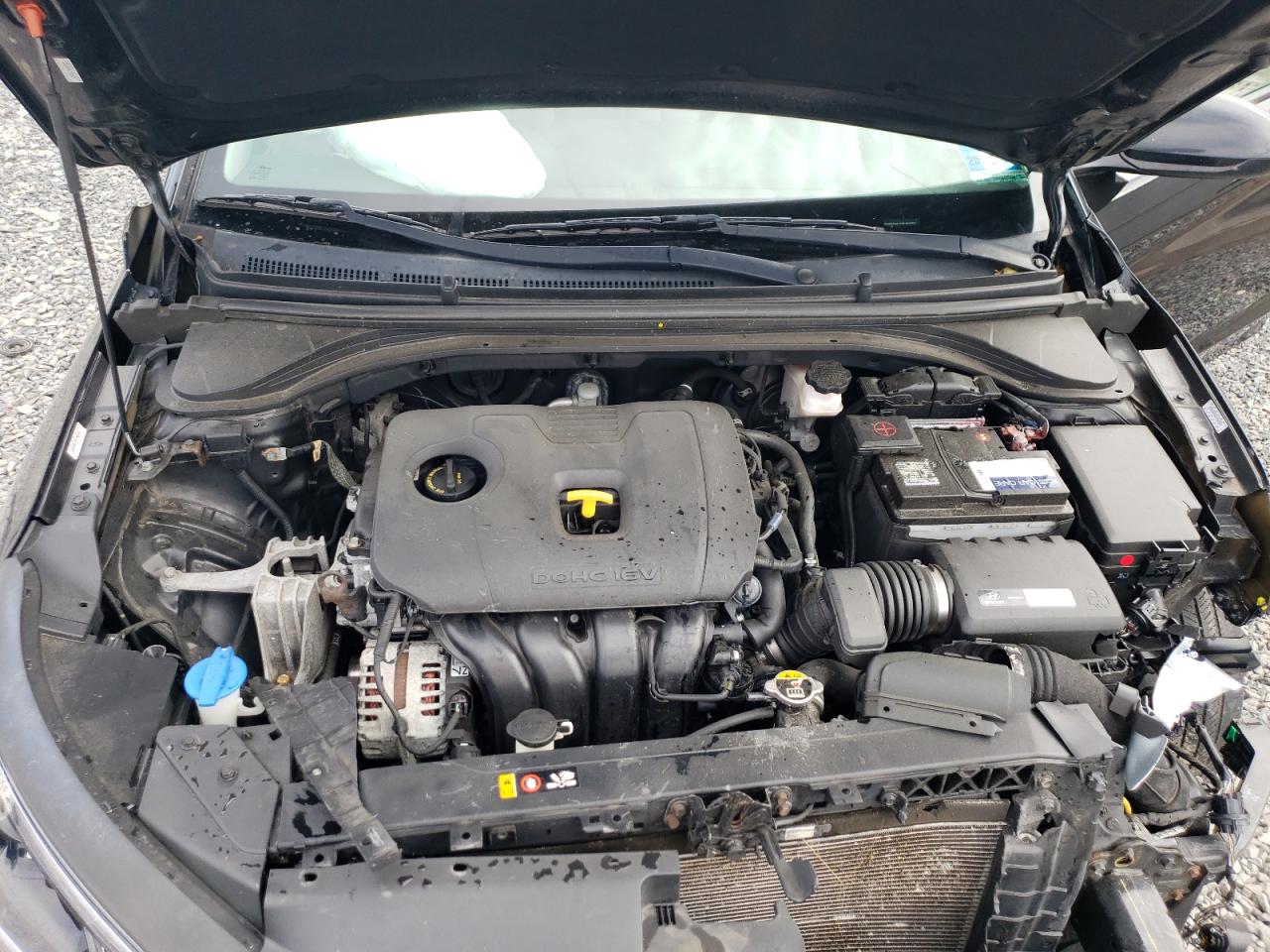 2019 Hyundai Elantra Sel VIN: KMHD84LF8KU803955 Lot: 86463765