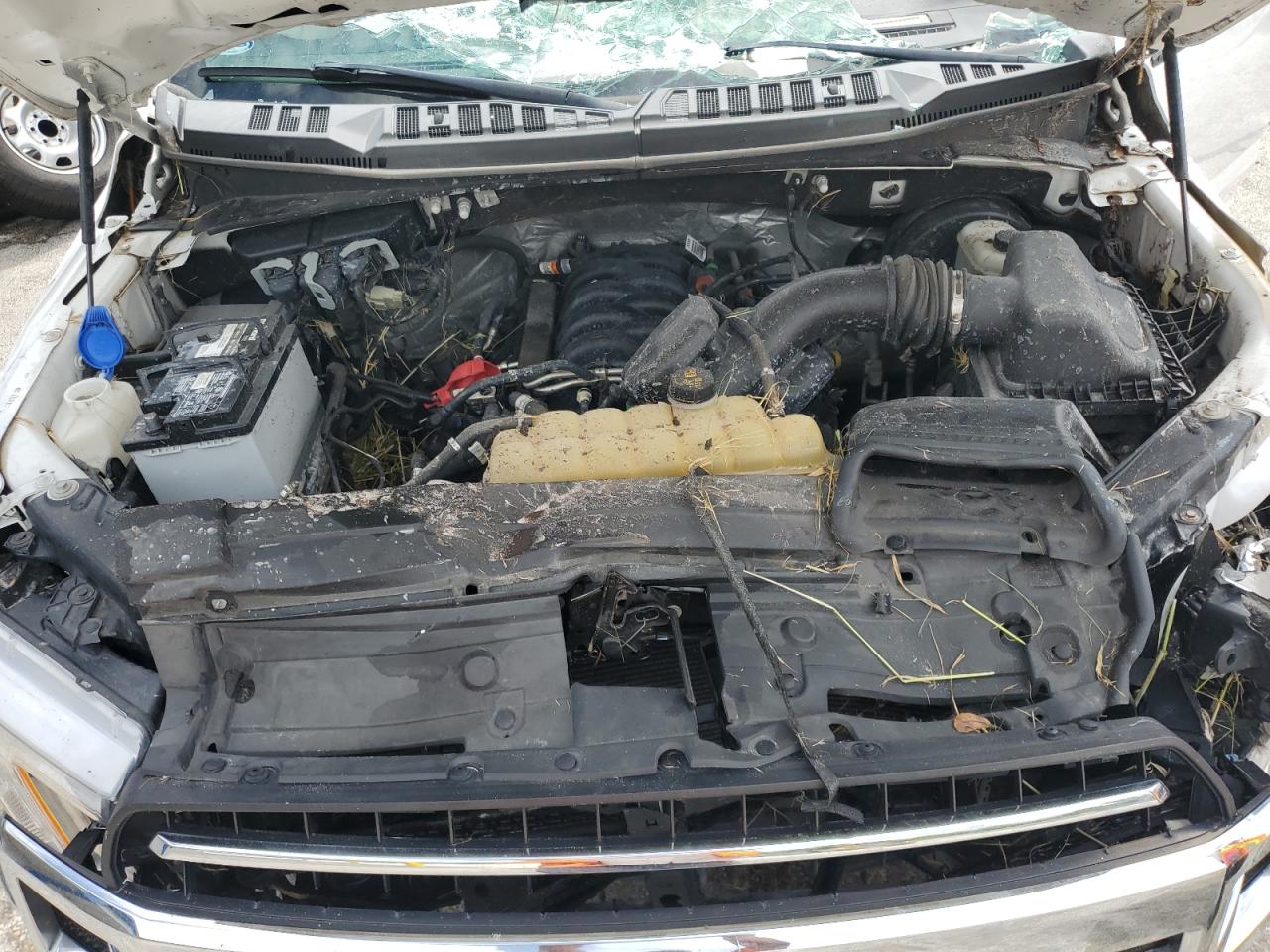 2019 Ford F150 VIN: 1FTMF1C52KKD92225 Lot: 85180465