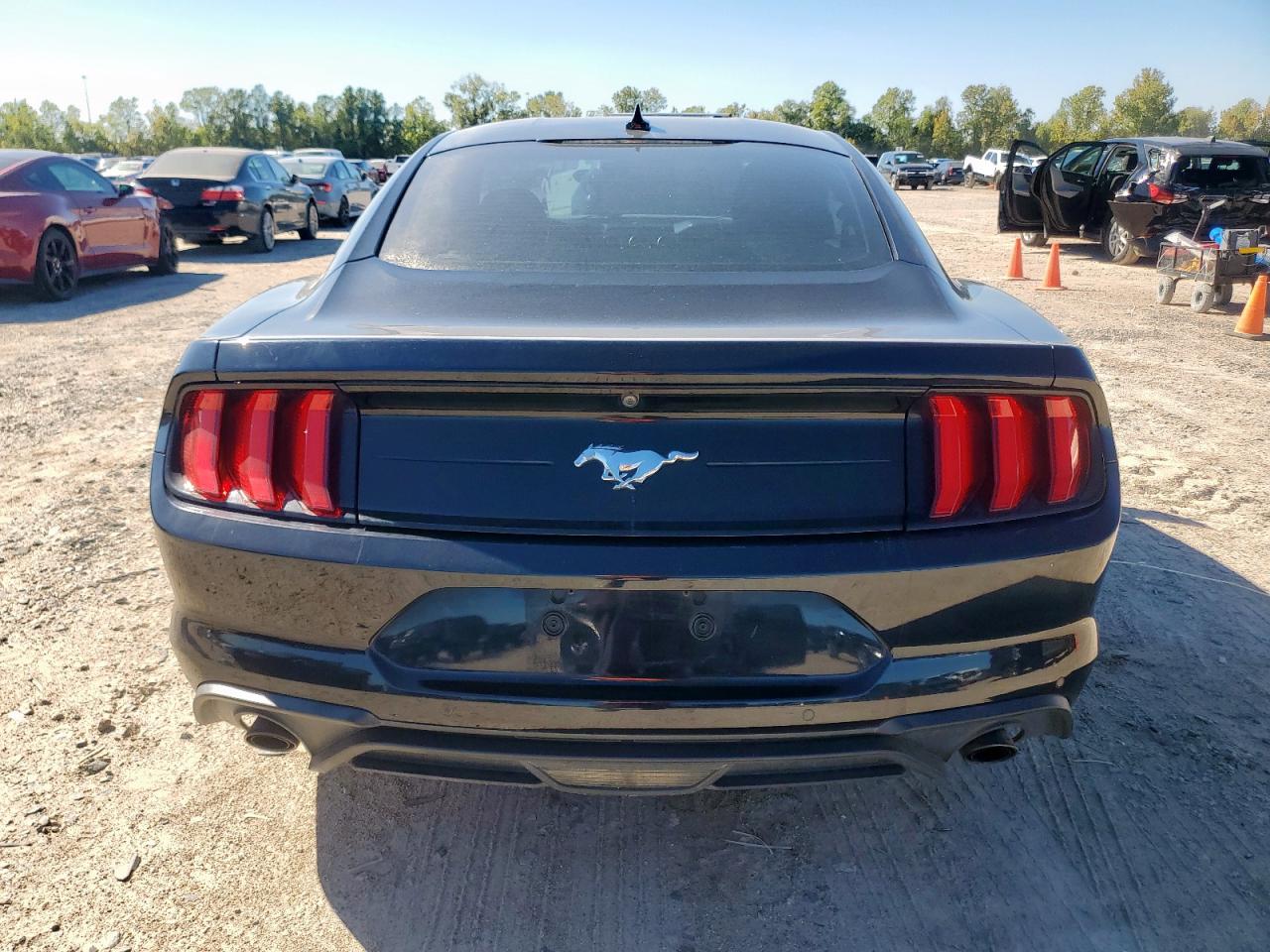 2021 Ford Mustang VIN: 1FA6P8TH8M5110069 Lot: 91000045